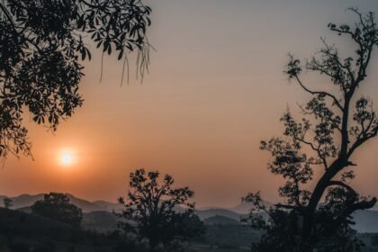 Slika prikazuje miran krajolik u zalazak sunca, sa suncem niskim na maglovitom nebu. Siluete drveća uokviruju prednji plan, dok udaljena valovita brda i meko svjetlo stvaraju mirnu, toplu atmosferu. Nebo je u narančastoj i sivoj boji.