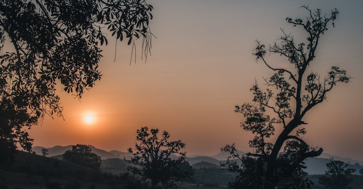 Fotografija prikazuje spokojni zalazak sunca nad brežuljcima s narančastim suncem nisko na nebu. Siluete drveća s rijetkim lišćem uokviruju scenu, s udaljenim brdima i maglovitim nebom u pozadini, stvarajući mirnu i prirodnu atmosferu.