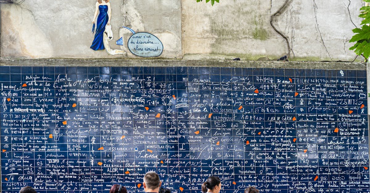 Grupa ljudi stoji ispred velikog popločanog zida prekrivenog natpisom "Volim te" na raznim jezicima. Zid i natpisi su uglavnom plavo-bijeli. Iznad zida nalazi se mali mural žene u plavom i bijelog balona s tekstom.